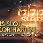 Panduan Slot Online dengan Fitur Expanding Wilds